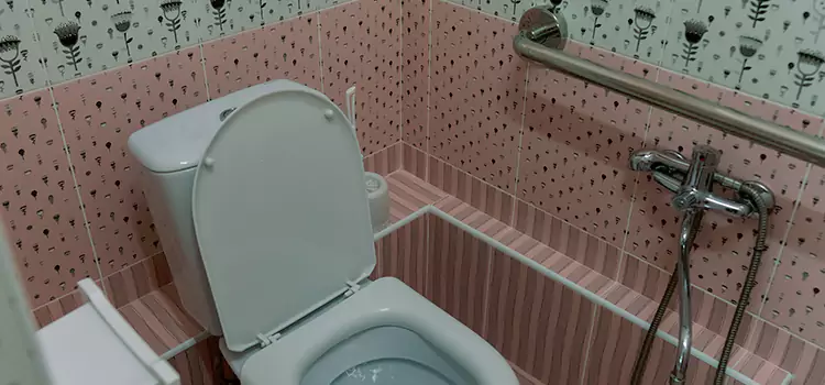Meeting Diverse Needs With Accessible Restroom Solutions in Madison, WI